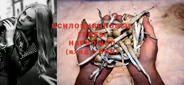 мяу мяу мука Алексеевка
