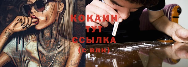 тгк Инсар